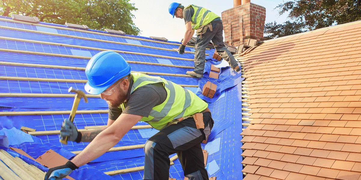 New roof installation crew with safety harnesses applying roofing felt and starter shingles